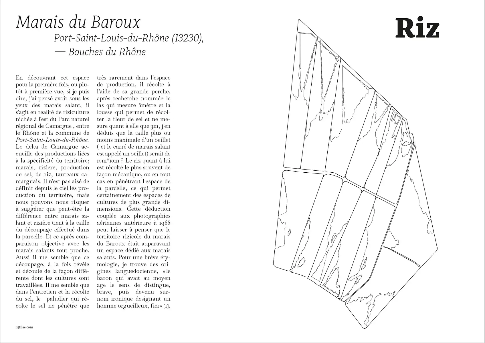 extrait pages édition Etudier